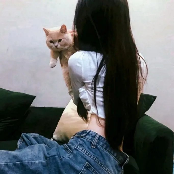 离婚官司